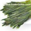 Healthy Fresh Taiping Houkui Tea Loose Leaf Green Tea From China Huangshan