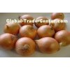 Round Golden Natural Fresh Onion For Mexican Cuisine Contains Fibre And Fat