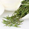 Early Spring An Ji Bai Cha Organic Loose Leaf Green Tea with Health Benefits