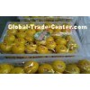 Yunnan Nutritional Value Fresh Mandarin Oranges Vitamins B3 , E To Enhance Digestion