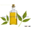 Offer To Sell Neem oil