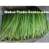 Green BRC IQF Frozen Root Vegetables with 18 Months Shelf Life