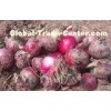 Red Natural Fresh Onion Anti-Cholesterol For Grilling And Char-Broiling