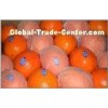 Citrus Sinensis Healthy Red Fresh Navel Orange Hybrid , Ruby Blood Orange