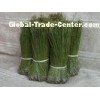 Chinese Herbal Medicines Fresh Pinus Pine Needle , Light Green