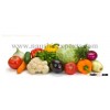 Offer To Sell Fruits and Vegetables