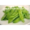 New harvest IQF BRC  Freezing Fresh Beans with 18 Months Shelf Life