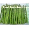 Healthy IQF Quick Frozen Root Vegetables , New Crop Frozen Green Asparagus