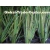 Bicolor 50mm 11000Dtex PE Football Artificial Grass For Landscaping
