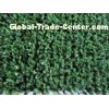 10mm 6600dtex Tennis Artificial Grass