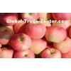 Natural Seasonable Fresh Organic Fuji Apple Vitamin C , Zinc Anti-Cancer