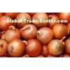 Golden Sweet Natural Fresh Onion Contains Pantothenic Acid ( B5 ) , Water