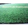 Artificial Grass Around Swimming Pools 10mm Height