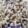 Bakery Sunflower Seed Kernels with High Quality and Low Price