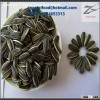 Low-price Sunflower Seeds 5009