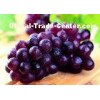 Oval Or Round Shape Sweet Fresh Red Grapes Seeded With Thick Peel