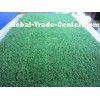 2800dtex 6mm Green Fake Artificial Pet Grass Environmental Friendly