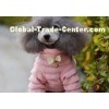 Custom Made Bullmastiff / Newfoundland Personalized Dog Clothes Shirt For Summer , Size S - XL