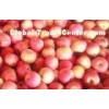 Chinese Fresh Red Delicious Apple Contains Thiamine For Old People