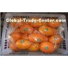 Organic Sweet Juicy Round Fresh Navel Orange / Ponkan Orange With High Energy