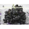 High Nutritional 25mm Currant Fresh Red Grapes Seedless Sweet