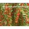 Organic Chinese Wolfberry Fruit 280size , Lycium Barbarum