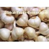 Spicy Fresh Pure White Garlic Organic Vegetable 20kg / Mesh Bag