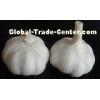 Plump Shaped 6.0 - 6.5cm Pure White Garlic With GAP , SGS , JAS