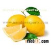 Offer To Sell Fresh Lemon