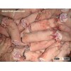 Frozen Pork Ear /Frozen Pork Feet / Frozen Pork Tail