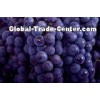 Chinese Globe Juicy Fresh Red Seedless Grapes  9KG / Foam ctns