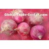 Red Natural Fresh Onion Flate And Round Shape Contains Folic Acid , 50mm - 90mm
