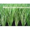 Indoor / Outdoor Football Artificial Grass 10000Dtex Yarn Spine Shape