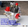 Cummins Pump