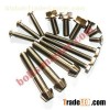 Titanium Custom Screw