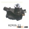RZP09-53