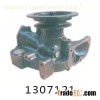 Water pump 1307121
