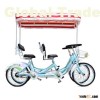 Surrey Bicycle Surrey Bikes 4-6 Person