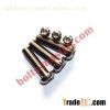 Titanium Allen Hex Socket Button Head Bolts