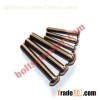 Titanium Button Bolt