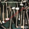 Titanium Hex Bolt