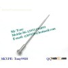 Common rail valve 9308-621C,9308-622B,9308Z621C,9308Z622B,28239294