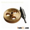 Worm Gear