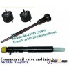 Bosch and delphi common rail valve 9308-622B,9308-621C,9308Z621C,9308Z622B,F00VC01359,F00RJ00339,F00