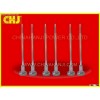 common rail valve