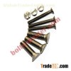 Titanium Cuntersunk Slotted Bolt