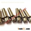 Titanium 12 Point Screw