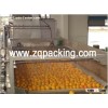 3-In-1 Monoblock Automatic Fruit Processing Machine
