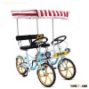 Surrey Bike Surrey Bicycle 2-3 Person