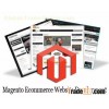 Ecommerce Website Development